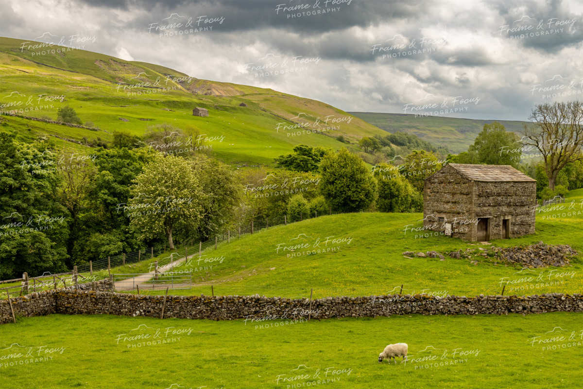 To buy a print or any of the below please click on the images